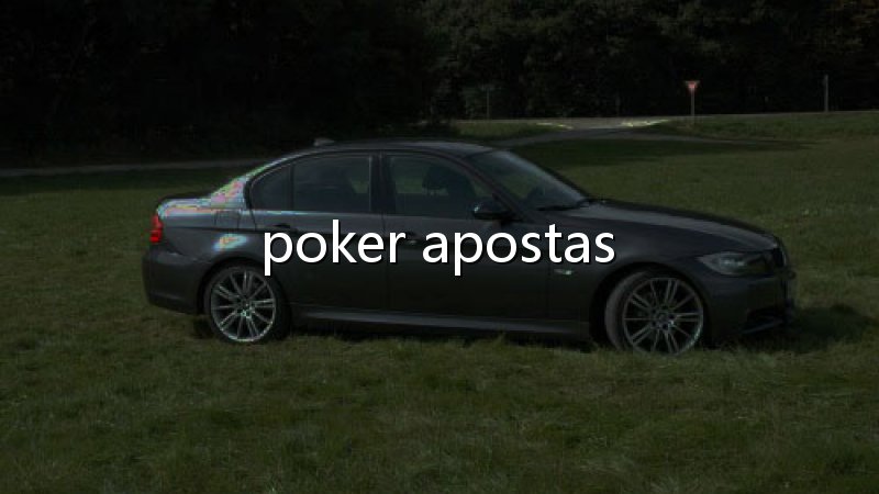 Cassino Bet Plataforma: experiência, segurança e diversão em um só lugar