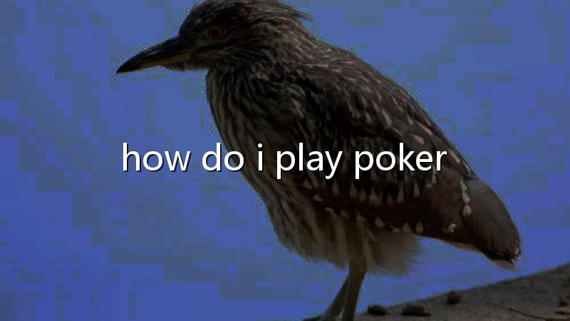 Onde jogar poker no Brasil: encontre a mesa certa para jogar melhor