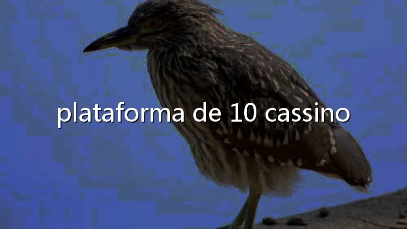 Como funciona o baccarat: guia prático para entender o jogo