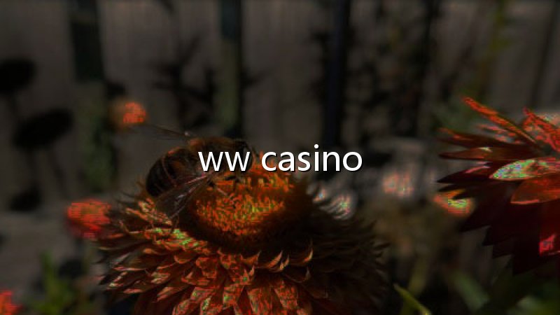 Casino platform: uma experiência que conquista nos detalhes