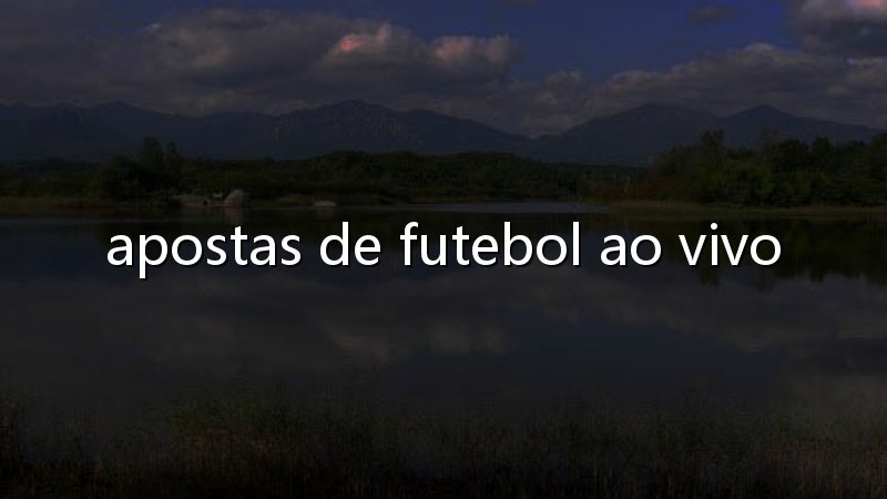 Cassino aposta: diversão com escolhas inteligentes e uma experiência que vale o clique